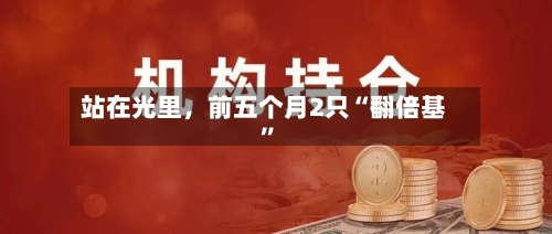 站在光里，前五个月2只“翻倍基”-第2张图片