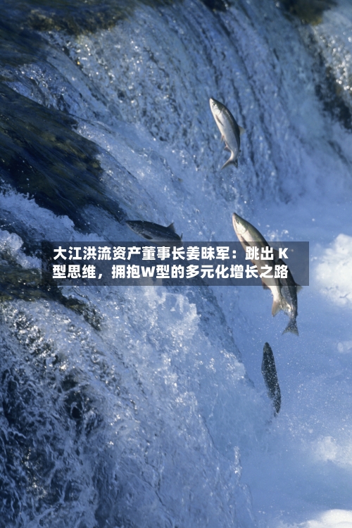 大江洪流资产董事长姜昧军：跳出 K 型思维	，拥抱W型的多元化增长之路-第2张图片
