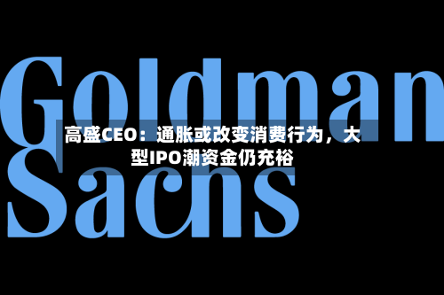 高盛CEO：通胀或改变消费行为，大型IPO潮资金仍充裕-第3张图片