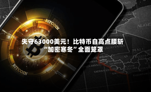 失守63000美元！比特币自高点腰斩 “加密寒冬”全面笼罩-第3张图片