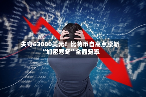 失守63000美元！比特币自高点腰斩 “加密寒冬	”全面笼罩-第2张图片