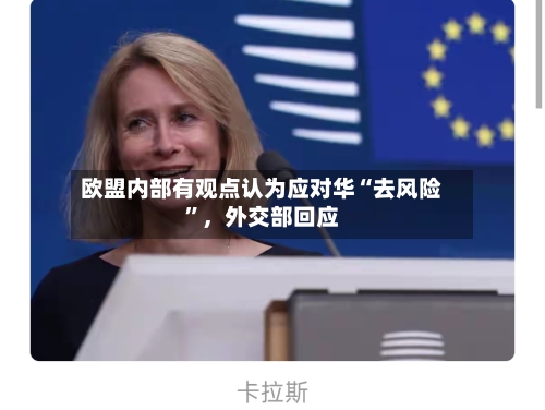 欧盟内部有观点认为应对华“去风险”，外交部回应-第2张图片