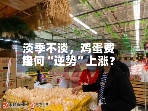 淡季不淡，鸡蛋费用缘何“逆势	”上涨？-第2张图片