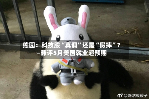 熊园：科技股“真调”还是“假摔”？—兼评5月美国就业超预期-第2张图片