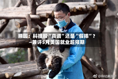 熊园：科技股“真调”还是“假摔	”？—兼评5月美国就业超预期-第3张图片