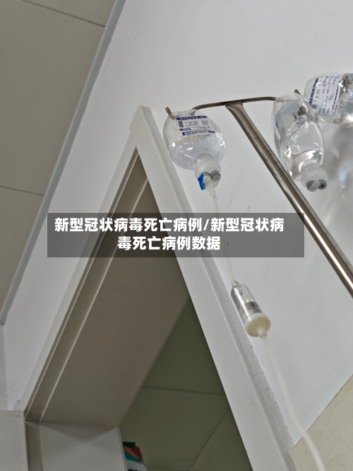 新型冠状病毒死亡病例/新型冠状病毒死亡病例数据-第3张图片