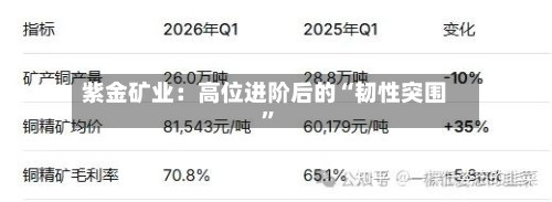 紫金矿业：高位进阶后的“韧性突围”-第2张图片
