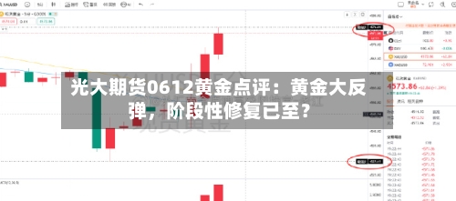 光大期货0612黄金点评：黄金大反弹	，阶段性修复已至？-第3张图片