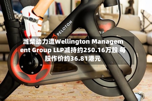 潍柴动力遭Wellington Management Group LLP减持约250.16万股 每股作价约36.81港元