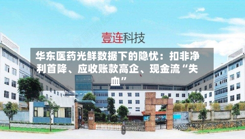 华东医药光鲜数据下的隐忧：扣非净利首降、应收账款高企、现金流“失血”-第3张图片
