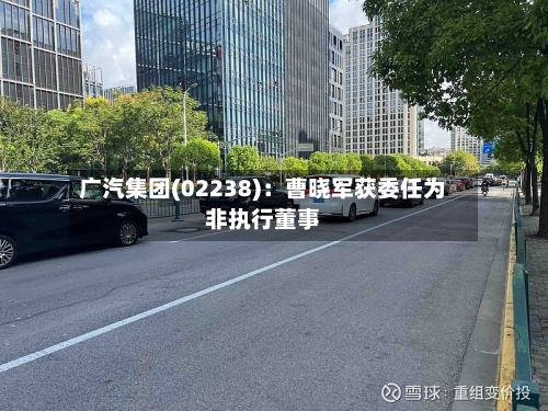 广汽集团(02238):曹晓军获委任为非执行董事-第2张图片