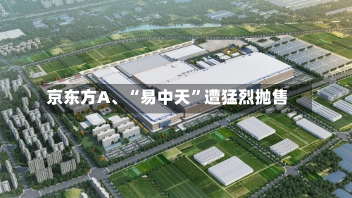 京东方A	、“易中天”遭猛烈抛售-第3张图片