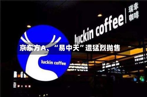 京东方A、“易中天	”遭猛烈抛售-第2张图片