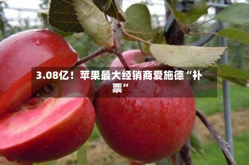 3.08亿！苹果最大经销商爱施德“补票	”-第2张图片