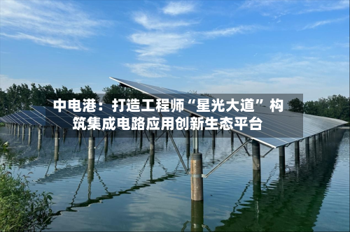中电港：打造工程师“星光大道” 构筑集成电路应用创新生态平台