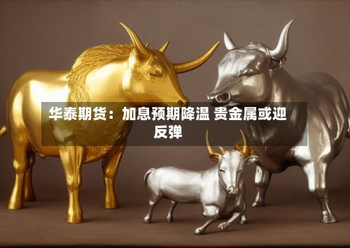 华泰期货：加息预期降温 贵金属或迎反弹-第3张图片
