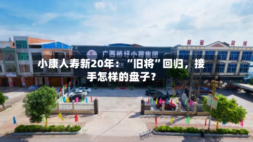 小康人寿新20年：“旧将”回归，接手怎样的盘子？