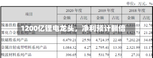 1200亿锂电龙头，净利预计翻倍-第3张图片