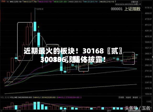 近期最火的板块！30168〖贰〗、30080〖陆〗、300136，集体披露！