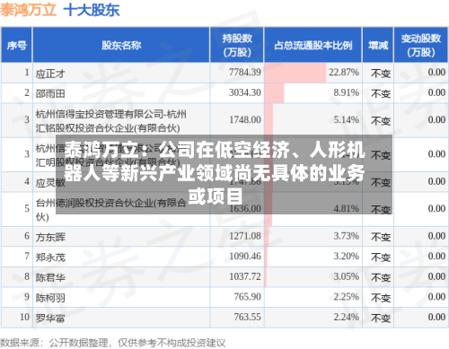 泰鸿万立：公司在低空经济、人形机器人等新兴产业领域尚无具体的业务或项目