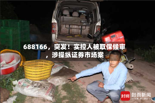 688166，突发！实控人被取保候审	，涉操纵证券市场案-第3张图片