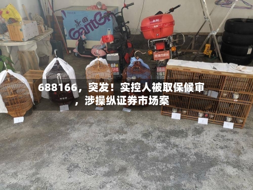 688166，突发！实控人被取保候审，涉操纵证券市场案-第2张图片