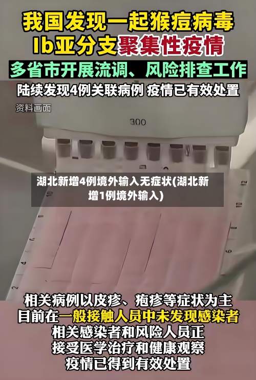 湖北新增4例境外输入无症状(湖北新增1例境外输入)-第2张图片