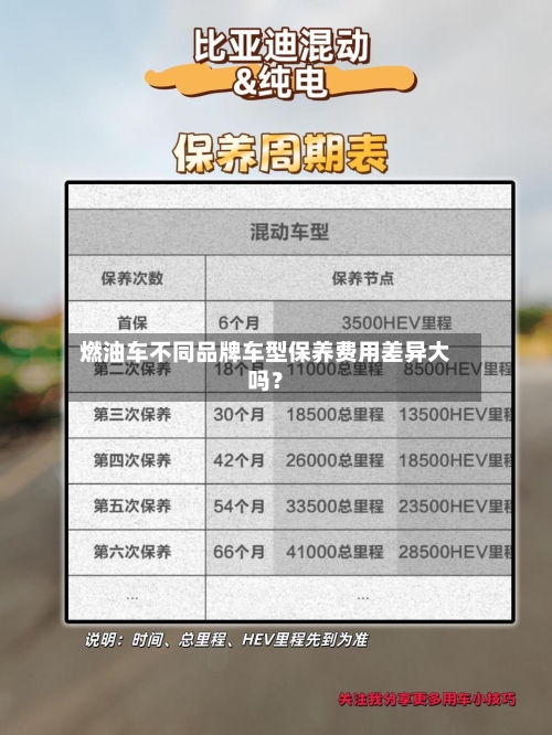 燃油车不同品牌车型保养费用差异大吗？