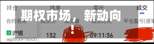 期权市场，新动向！-第2张图片
