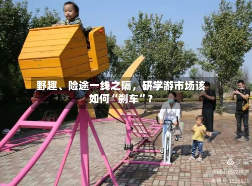 野趣、险途一线之隔	，研学游市场该如何“刹车”？-第2张图片