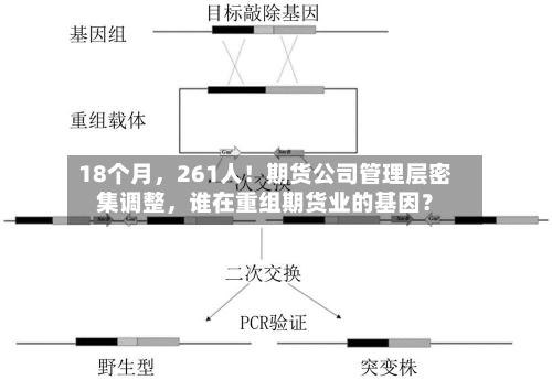 18个月	，261人！期货公司管理层密集调整，谁在重组期货业的基因？-第2张图片