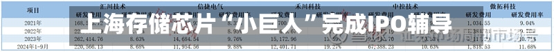 上海存储芯片“小巨人”完成IPO辅导