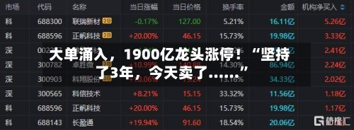大单涌入，1900亿龙头涨停！“坚持了3年	，今天卖了……”-第2张图片