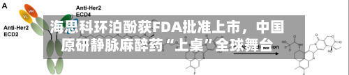 海思科环泊酚获FDA批准上市，中国原研静脉麻醉药“上桌”全球舞台
