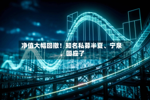 净值大幅回撤！知名私募半夏、宁泉，回应了-第2张图片