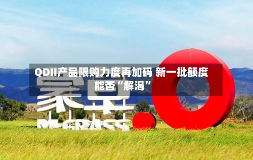 QDII产品限购力度再加码 新一批额度能否“解渴”-第3张图片