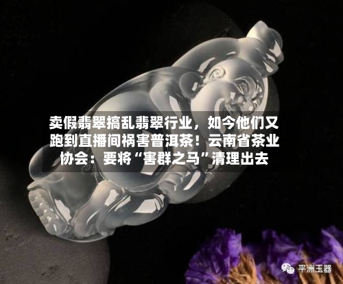 卖假翡翠搞乱翡翠行业，如今他们又跑到直播间祸害普洱茶！云南省茶业协会：要将“害群之马”清理出去
