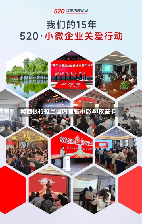 网商银行推出国内首张小微AI权益卡-第2张图片