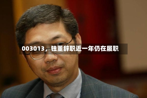 003013	，独董辞职近一年仍在履职-第2张图片