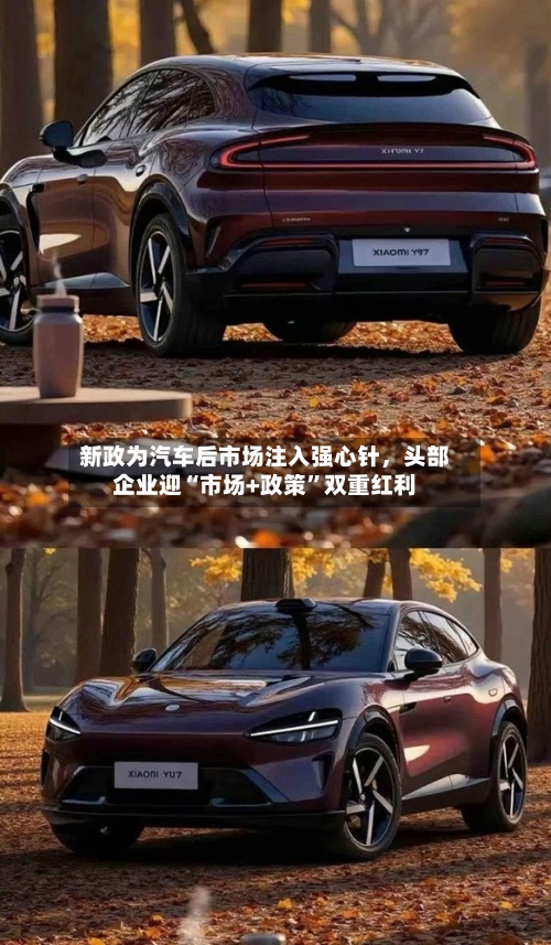 新政为汽车后市场注入强心针	，头部企业迎“市场+政策”双重红利-第2张图片