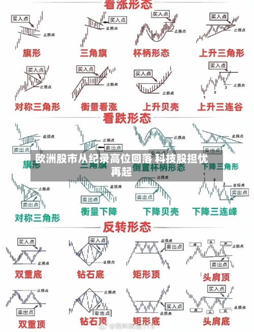 欧洲股市从纪录高位回落 科技股担忧再起