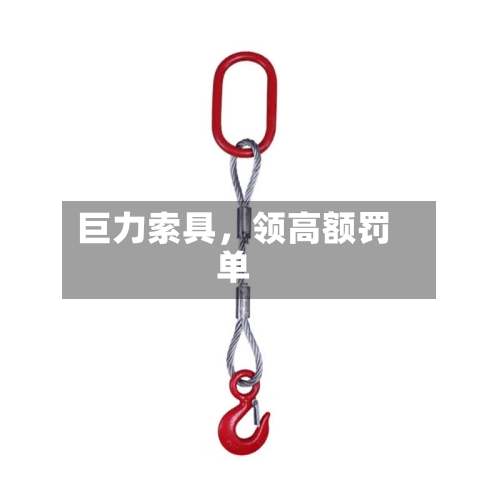 巨力索具，领高额罚单-第2张图片