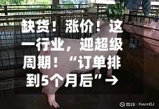 缺货！涨价！这一行业，迎超级周期！“订单排到5个月后”→