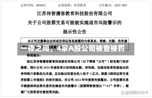 一夜之间，4家A股公司被查被罚-第3张图片