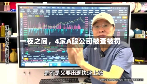 一夜之间，4家A股公司被查被罚-第2张图片