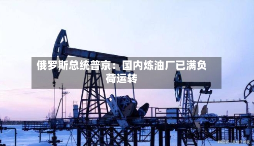 俄罗斯总统普京：国内炼油厂已满负荷运转-第2张图片