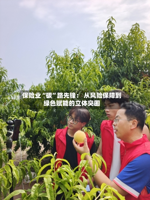 保险业“碳	”路先锋： 从风险保障到绿色赋能的立体突围-第3张图片