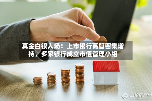 真金白银入场！上市银行高管密集增持，多家银行成立市值管理小组-第3张图片