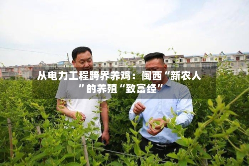 从电力工程跨界养鸡：闽西“新农人”的养殖“致富经”