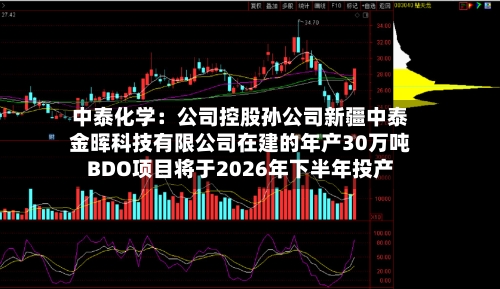 中泰化学：公司控股孙公司新疆中泰金晖科技有限公司在建的年产30万吨BDO项目将于2026年下半年投产